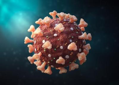 راز پنهان شدن ویروس کرونا از سیستم ایمنی بدن کشف شد
