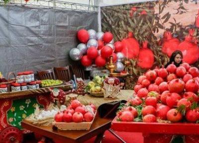 نخستین جشنواره و نمایشگاه ملی تولید و صادرات انار ساوه به کار خود خاتمه داد